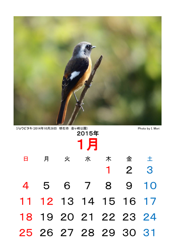 2015_calendar_ver.akashi.jpg